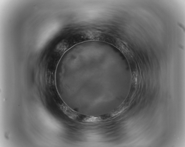 X0000094420527200711081139