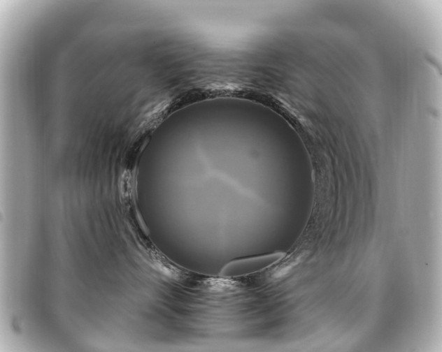 X0000094420528200711081139