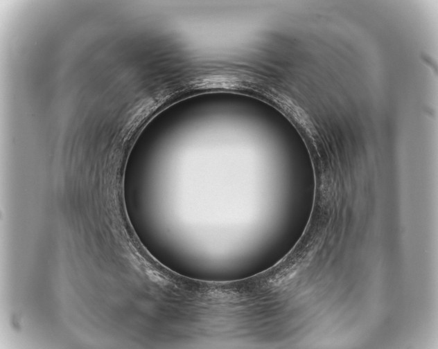 X0000094420529200711081138