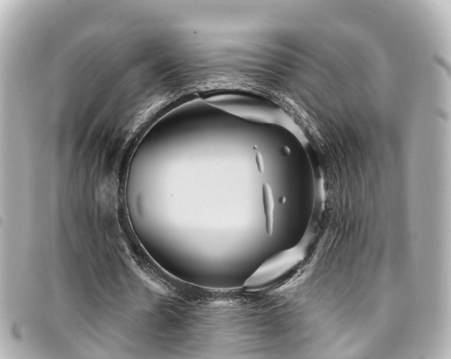 X0000094420530200711081138