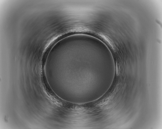 X0000094420531200711081138