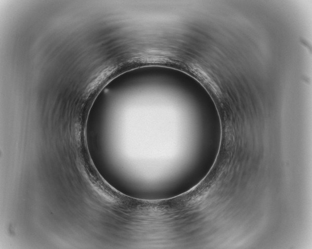 X0000094420533200711081138