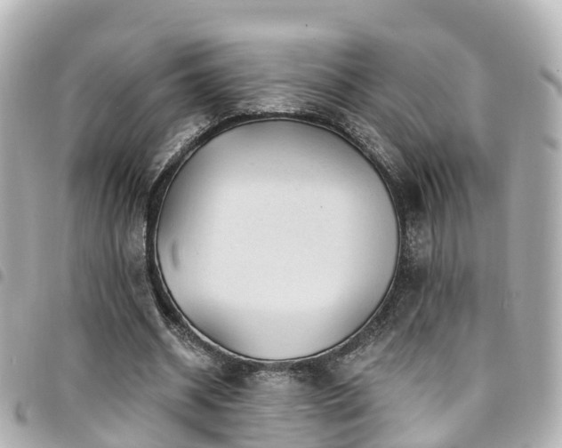X0000094420534200711081139