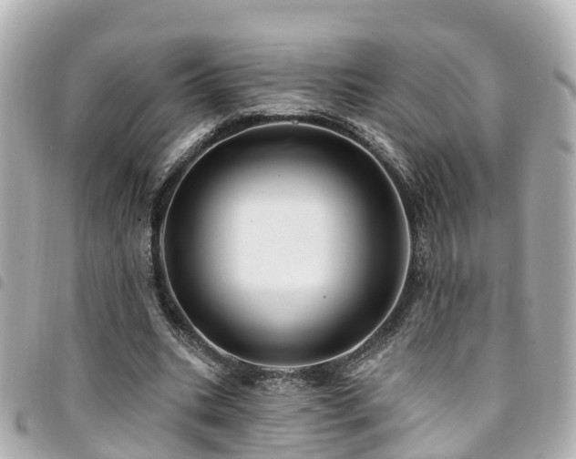 X0000094420535200711081139