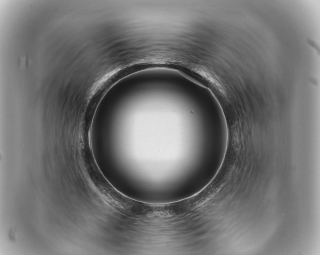 X0000094420536200711081139