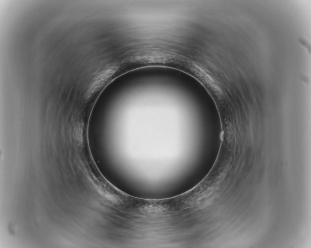 X0000094420537200711081139