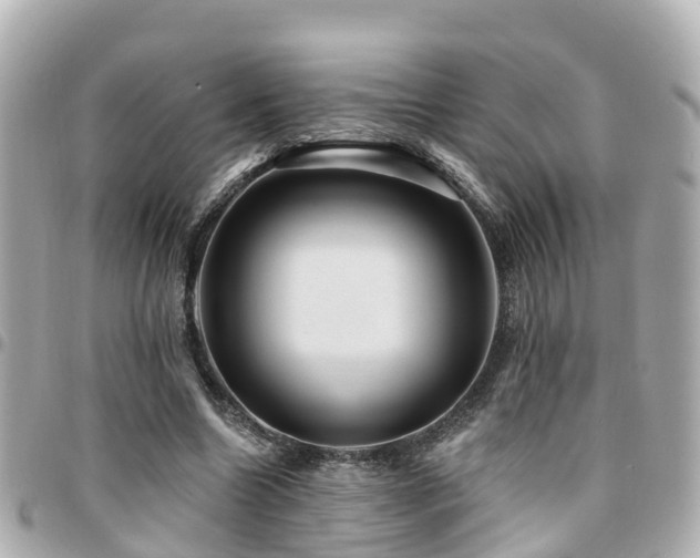 X0000094420538200711081139