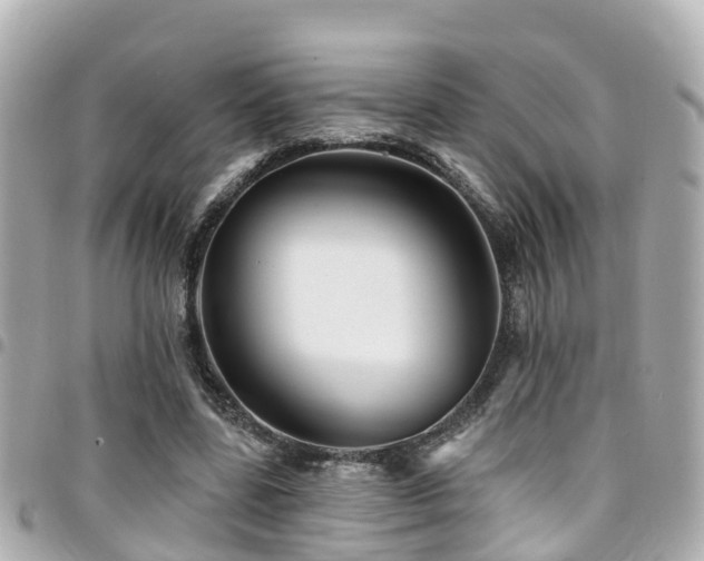 X0000094420539200711081139