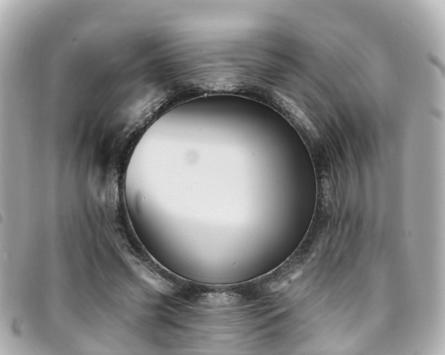 X0000094420541200711081139
