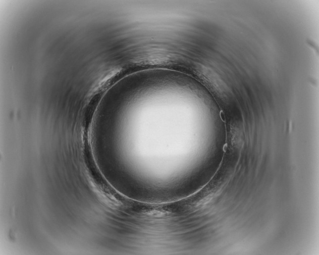 X0000094420542200711081139