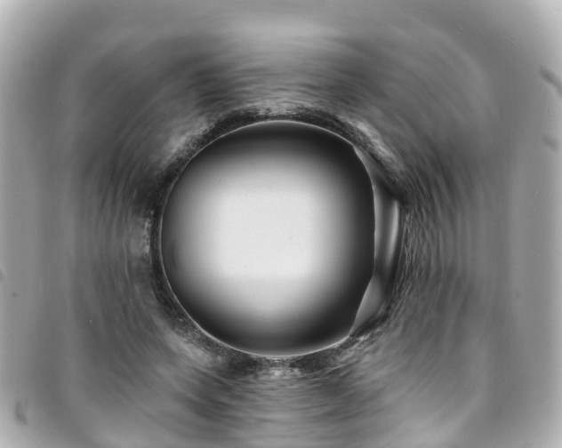 X0000094420543200711081139