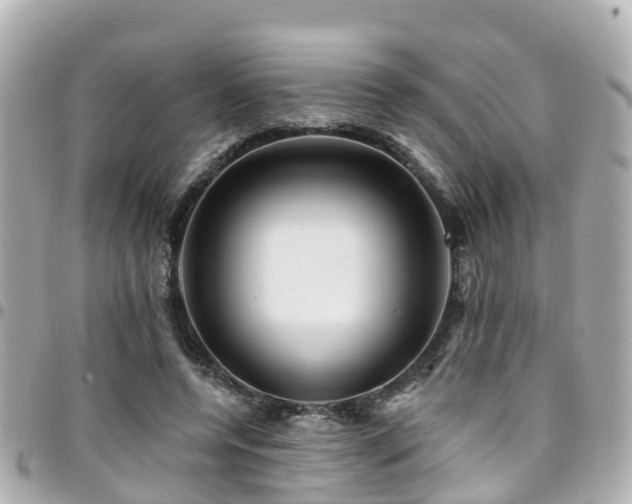 X0000094420544200711081139