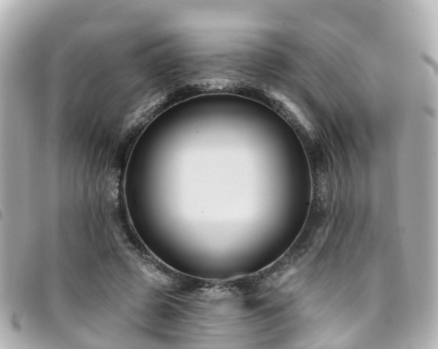 X0000094420545200711081139