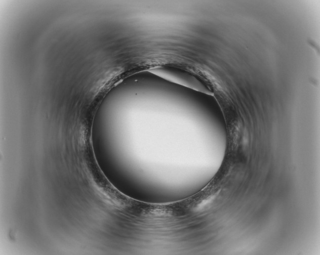 X0000094420546200711081139