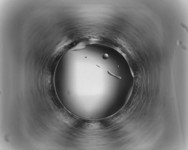 X0000094420548200711081139