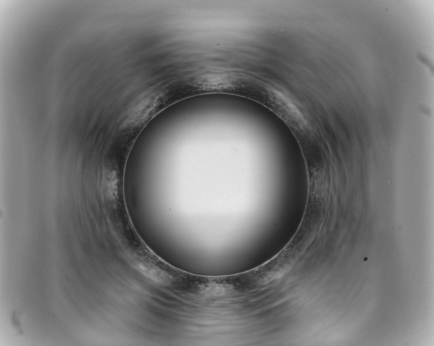 X0000094420549200711081139