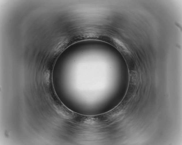 X0000094420550200711081139