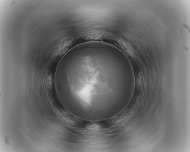 X0000094420551200711081139
