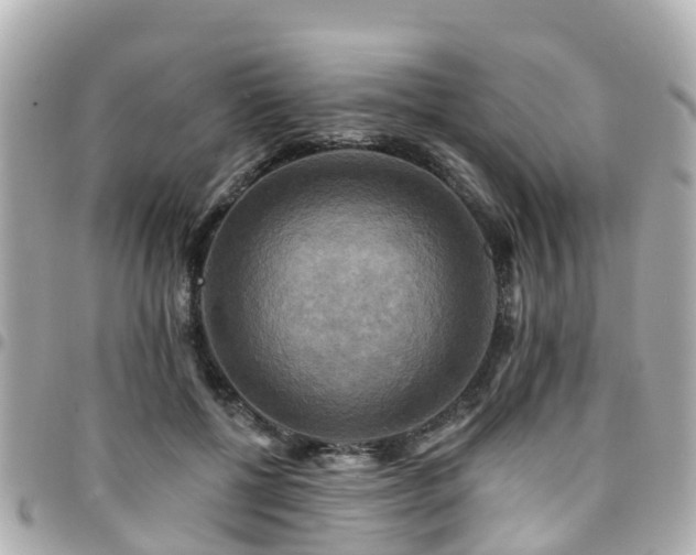 X0000094420552200711081139