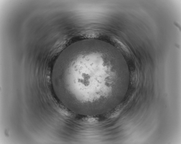 X0000094420553200711081139