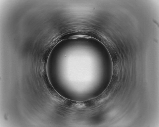 X0000094420554200711081139