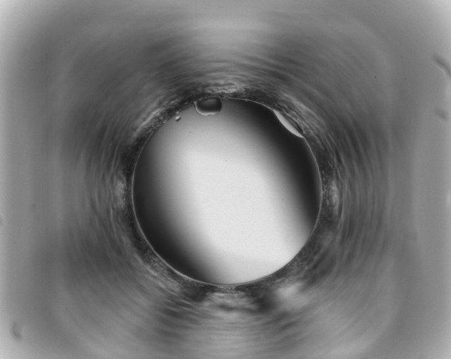 X0000094420556200711081139