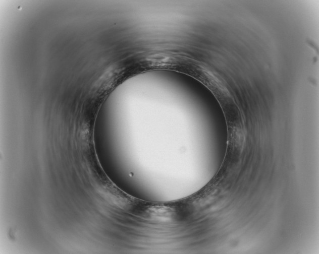 X0000094420557200711081139