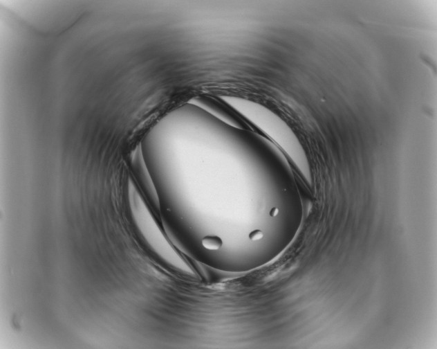 X0000094420558200711081139