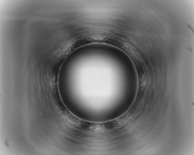 X0000094420559200711081139