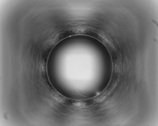 X0000094420561200711081139