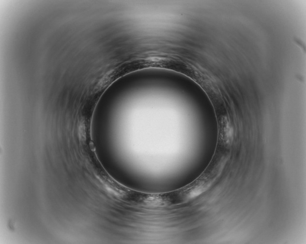 X0000094420562200711081139