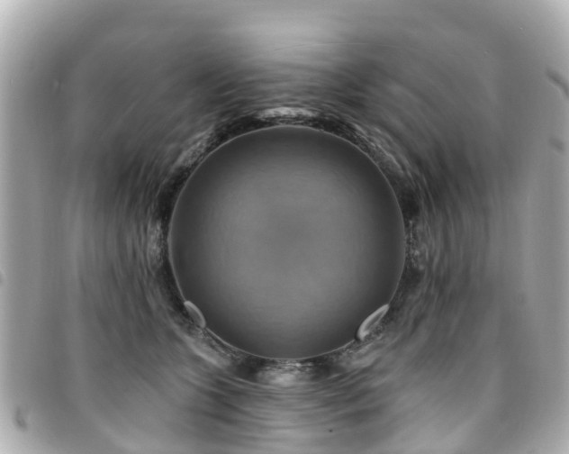 X0000094420563200711081139