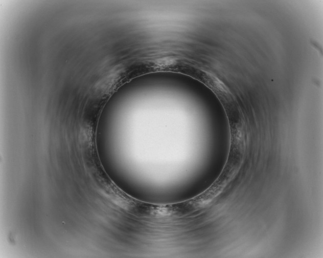 X0000094420565200711081139