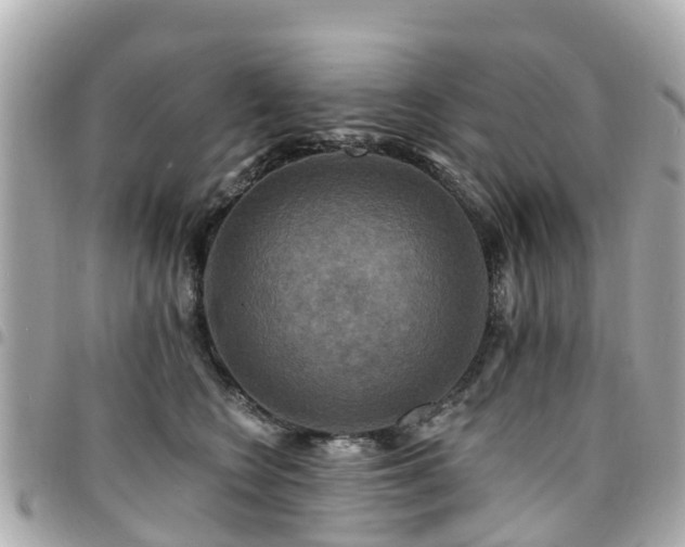 X0000094420566200711081139
