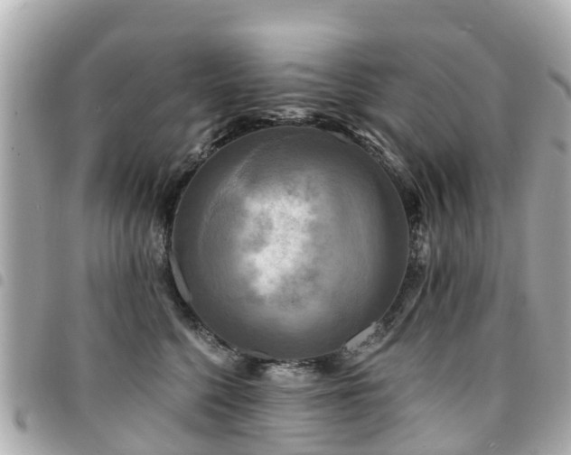 X0000094420568200711081139
