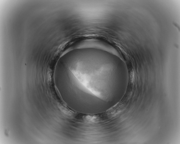 X0000094420570200711081139