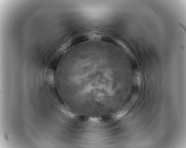 X0000094420573200711081139