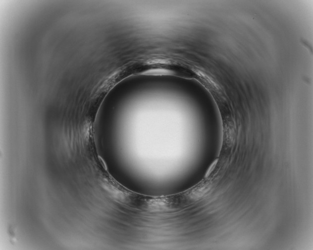 X0000094420574200711081139