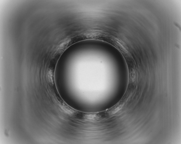 X0000094420575200711081139