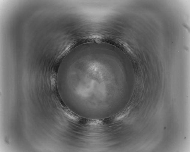 X0000094420576200711081139