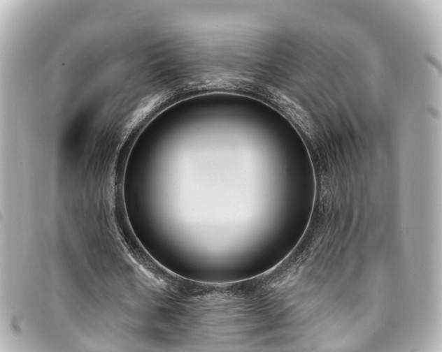 X0000094420578200711081138