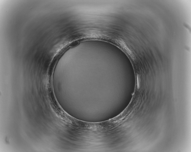 X0000094420579200711081138