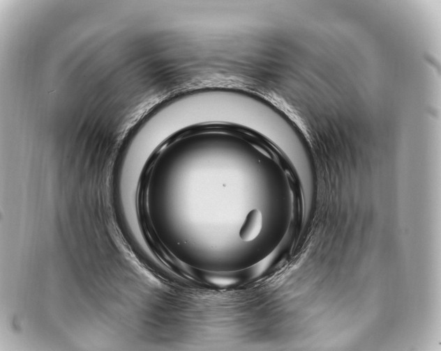 X0000094420581200711081138