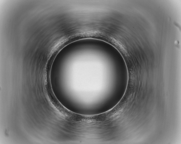 X0000094420582200711081138