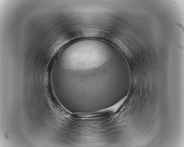 X0000094420583200711081138