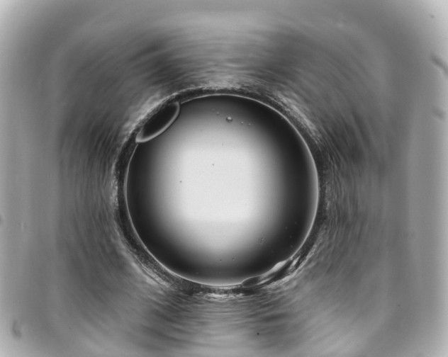 X0000094420584200711081138