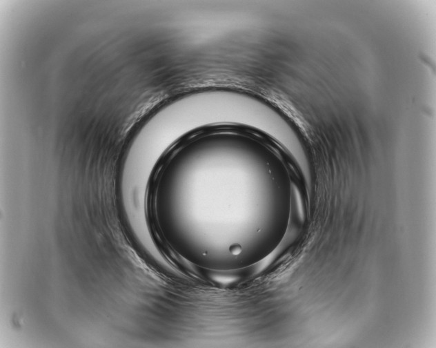X0000094420585200711081138