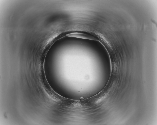 X0000094420588200711081138