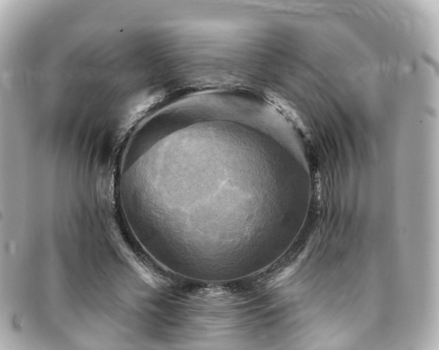 X0000094420589200711081138