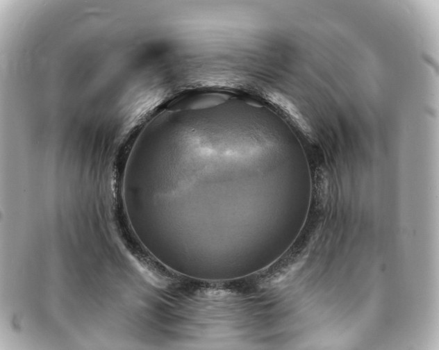 X0000094420590200711081138
